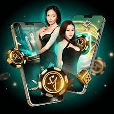 kuwin51